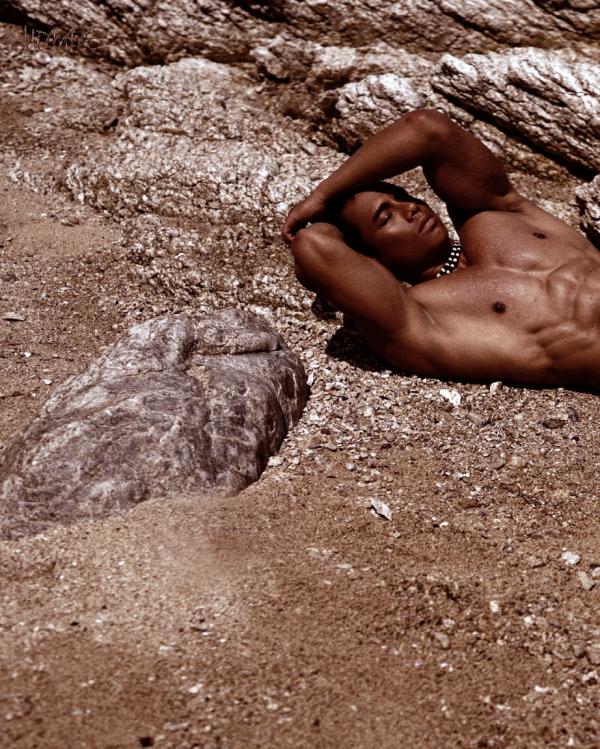 Homme-6-精壯美男魚